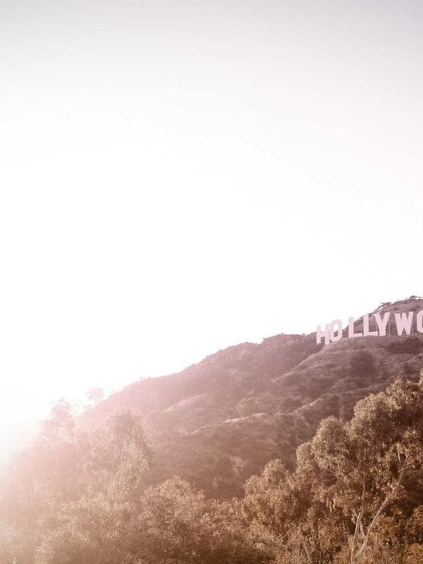 Darshini 3 - Image 3