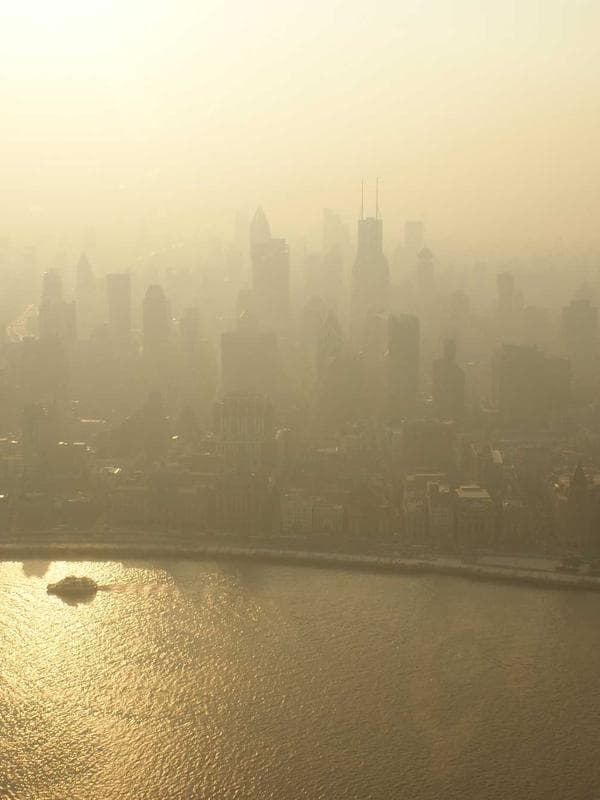 Darshini 3 - Image 5