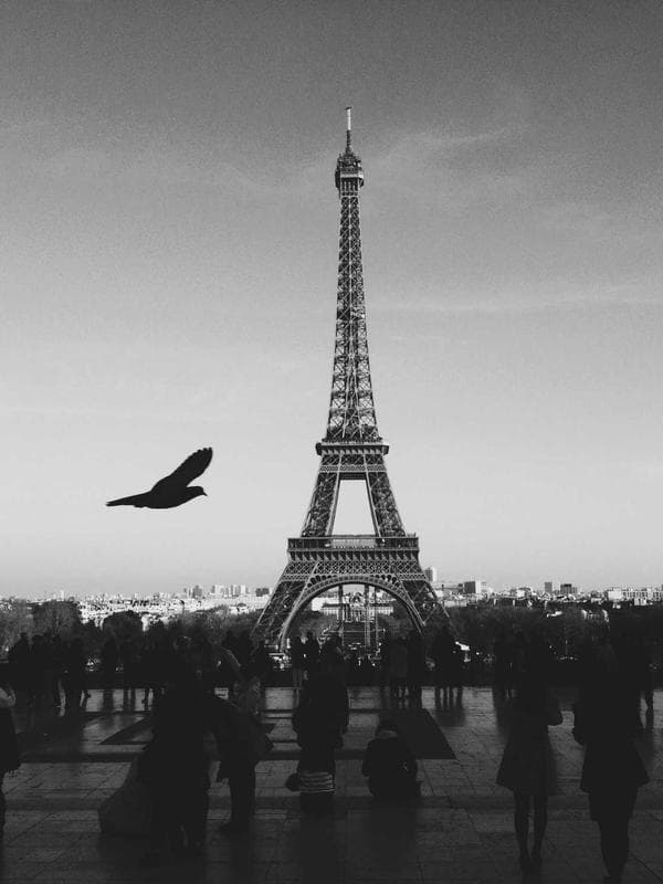 Darshini 3 - Image 2