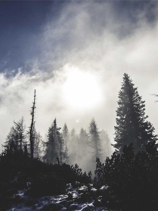 Darshini 3 - Image 4