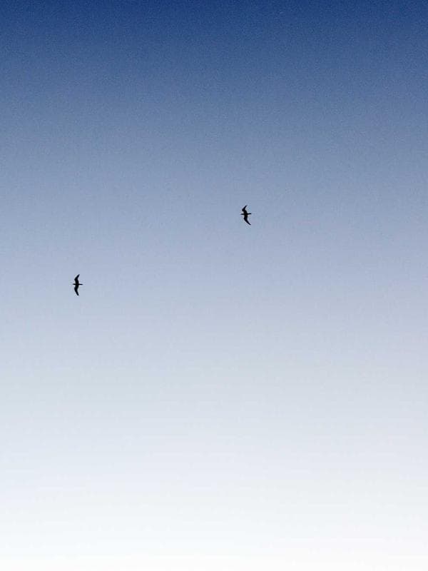 Darshini 3 - Image 5