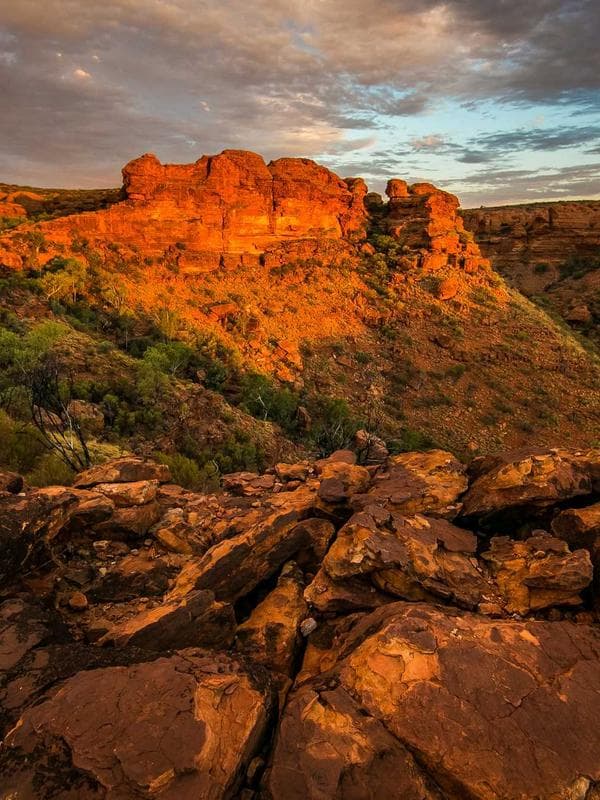 Darshini 3 - Image 5