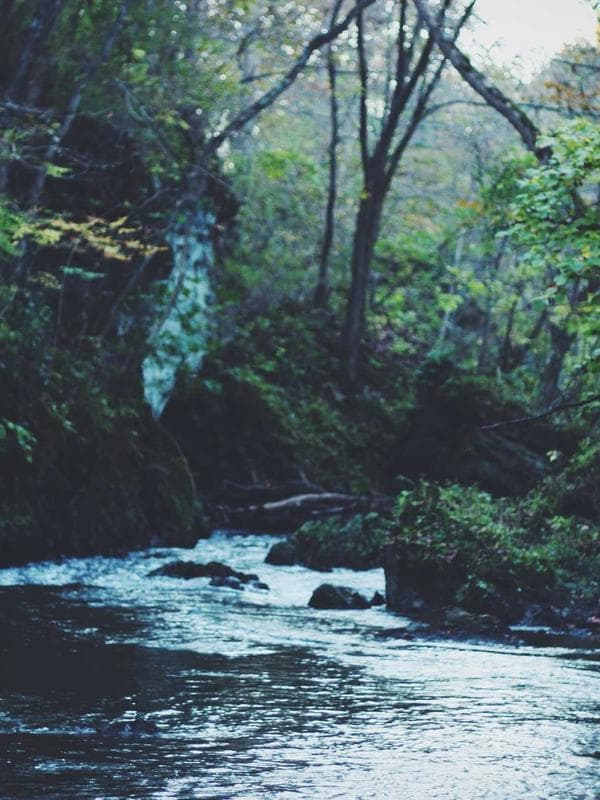 Tejaswini 3 - Image 2