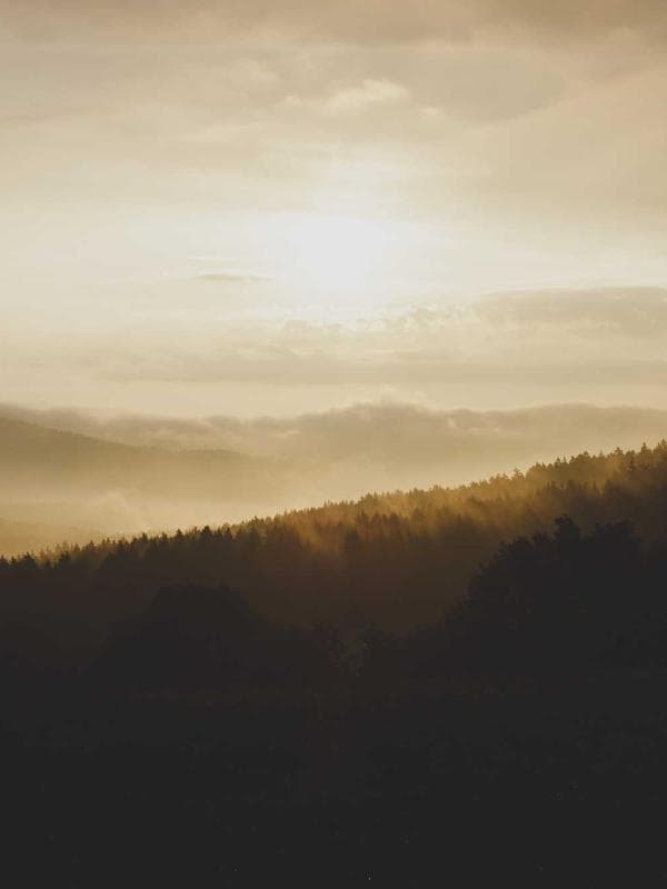 Tejaswini 3 - Image 5